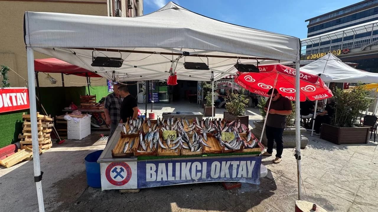 ZONGULDAK'TA BALIKÇI ESNAFI OKTAY ERTÜRK, YENİ SEZON ÖNCESİ TEZGAHLARDA YERİNİ ALAN OLTA PALAMUDUNU UYGUN FİYATLA VATANDAŞLA BULUŞTURDUKLARINI BELİRTEREK, BU YIL DENİZLERDE BÜYÜK BİR BOLLUK BEKLEDİKLERİNİ İFADE ETTİ.
