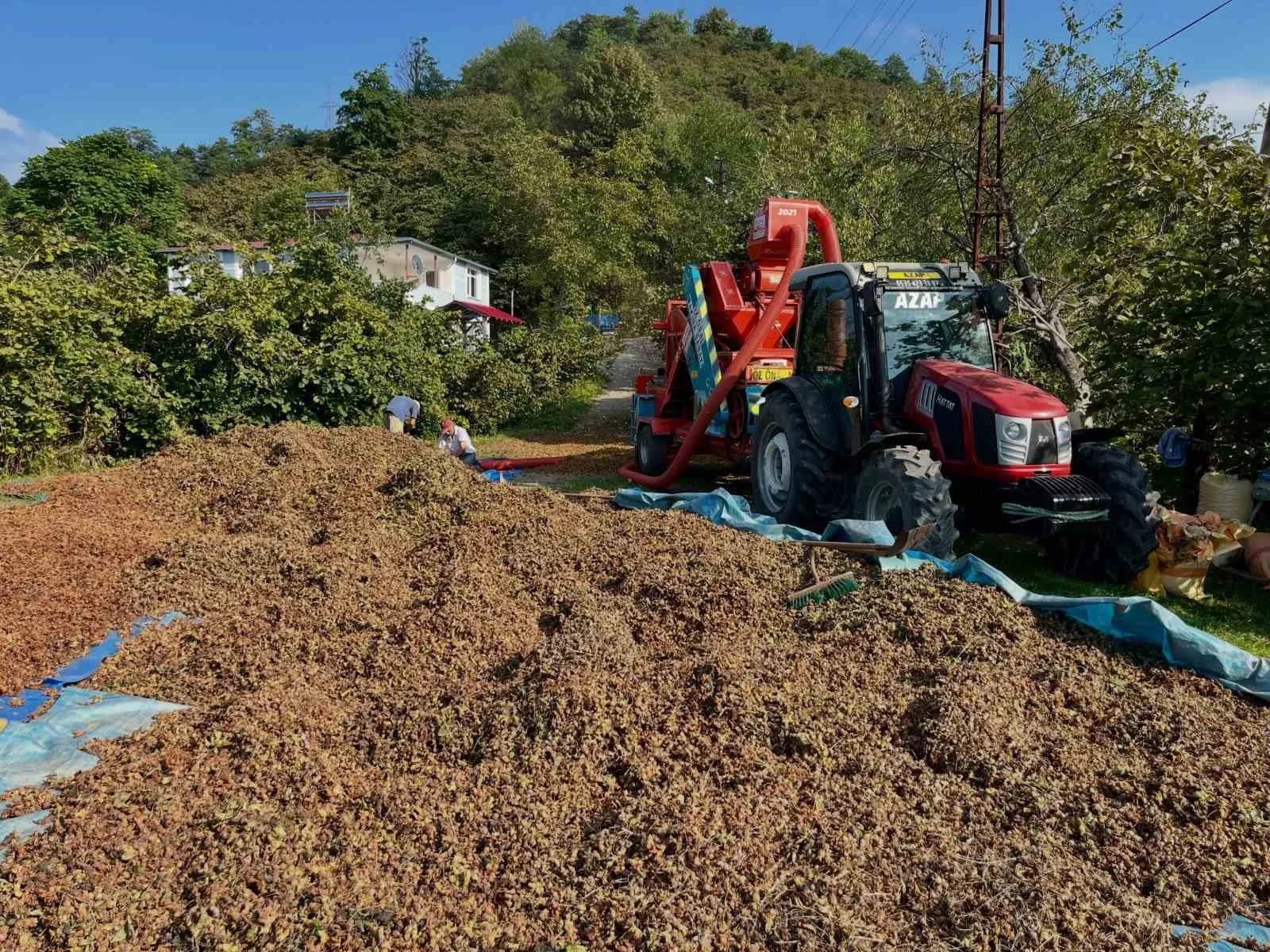 HASAT SEZONUNUN YOĞUN VE YORUCU GÜNLERİNİ GERİDE BIRAKAN FINDIK ÜRETİCİLERİNDE ŞİMDİ DE PATOZ MESAİSİ BAŞLADI. ORDU’NUN FATSA İLÇESİNDE HARMANA GETİRİLEN FINDIKLAR, KURUTMA İŞLEMİNİN ARDINDAN PATOZA VERİLİYOR.