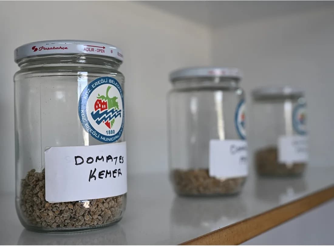 Ata Tohumu Projesi, Katlanarak Büyüyor