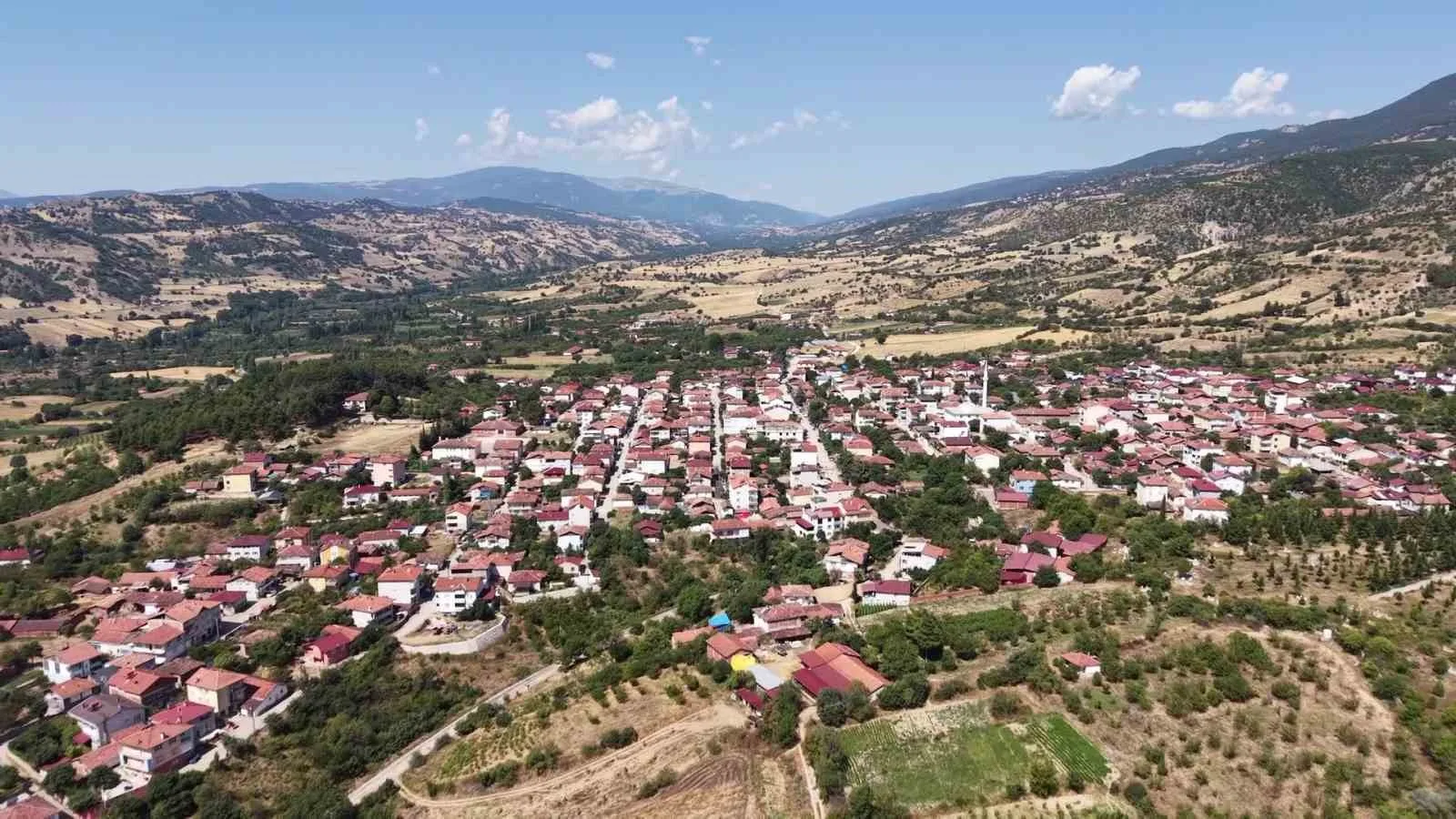 AMASYA’NIN ‘TESCİLLİ SARI ALTINI’ ÇİÇEK BAMYASI HASADI DEVAM EDİYOR