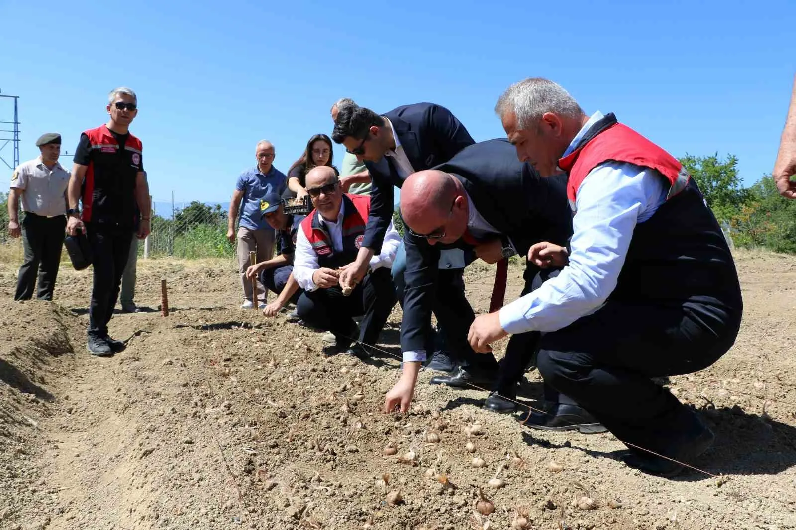 UNESCO DÜNYA MİRASI LİSTESİ'NDE YER ALAN KARABÜK'ÜN SAFRANBOLU İLÇESİNDE, KİLOSU 600 BİN LİRAYA ULAŞAN VE "DÜNYANIN EN PAHALI BAHARATI" OLARAK BİLİNEN SAFRANIN YENİ SEZON SOĞANLARININ EKİMİNE BAŞLANDI. SAFRANBOLU KAYMAKAMI HAYRETTİN BASKIN VE PROTOKOL ÜYELERİ SAFRAN EKİMİ YAPTI.