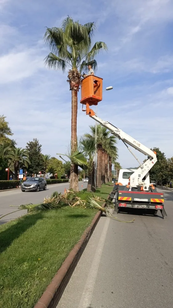 Kdz. Ereğli’nin Tropikal Dokusu Bakıma Alındı