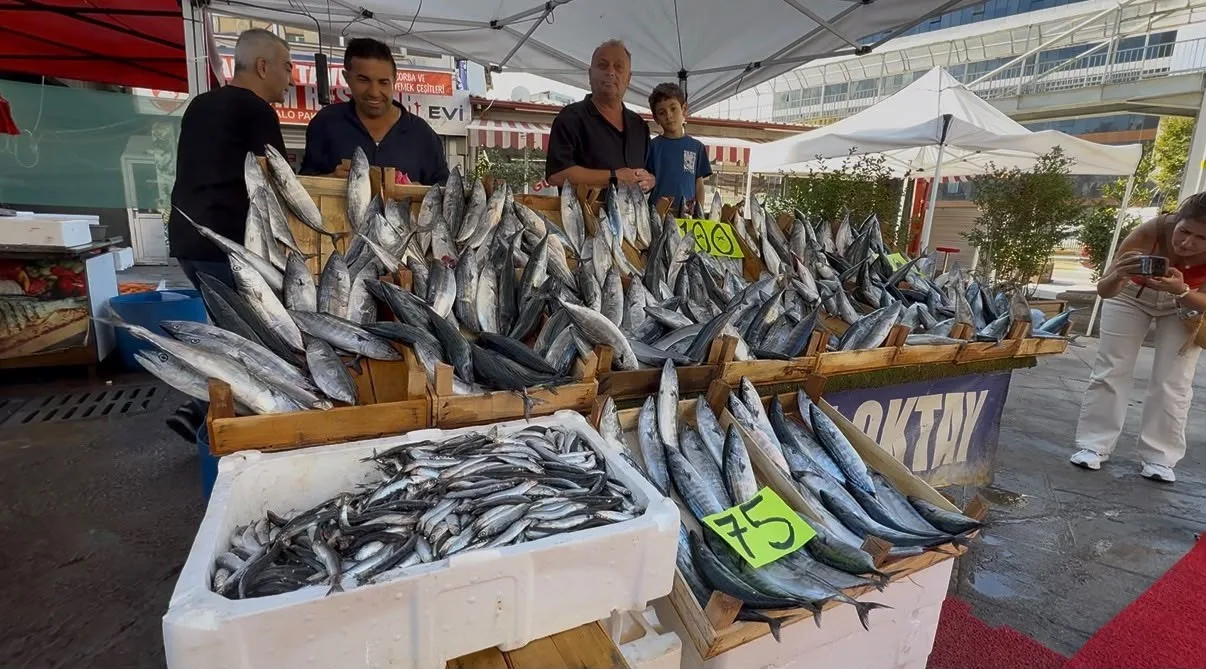 ZONGULDAK'TA EYLÜL AYIYLA BİRLİKTE BAŞLAYAN BALIKÇILIK SEZONUNDA PALAMUTUN TANESİ 100 LİRADAN SATIŞA SUNULDU.